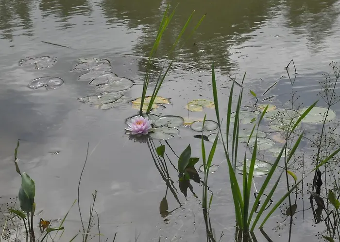 Gasthuis Jeti Vendeghaz