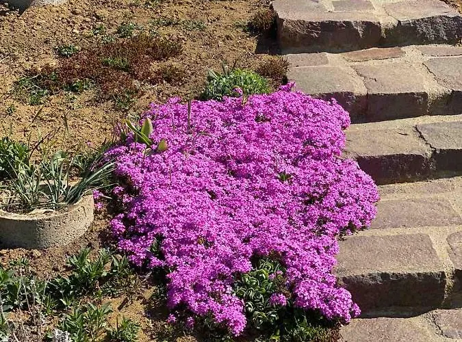 Jeti Vendeghaz Gasthuis Mátraballa